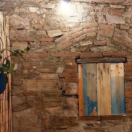 Happy Lucca Casa Vacanze Екстериор снимка